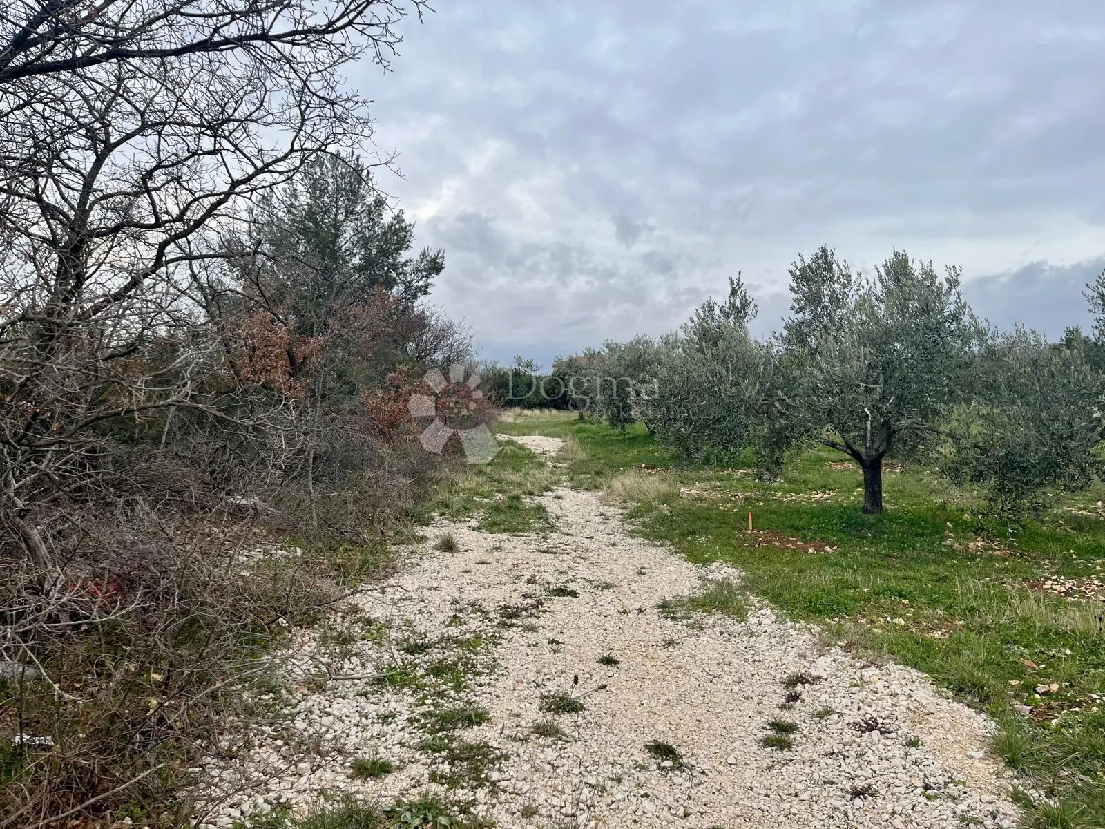 građevinsko zemljište 9.490 m² s maslinikom u rašteviću - slika 16