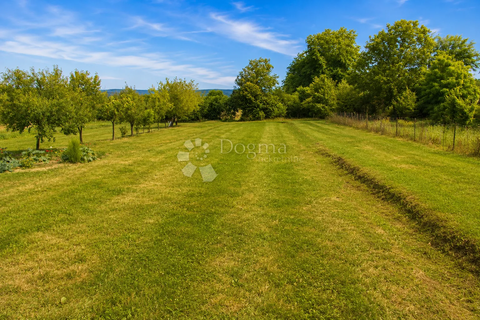 brodski drenovac – kuća 140 m², veliko zemljište - slika 9