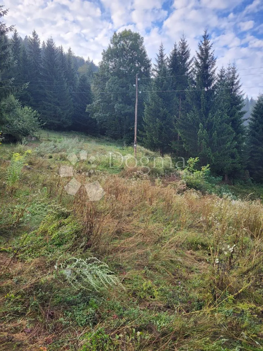 čarolija od 6600m2 spremnih za vaše ideje - stara sušica - slika 2