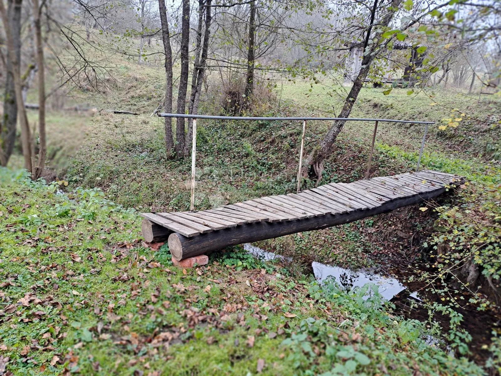 uživancija za konjiće, kravice ili ljude - slika 1