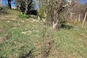 građevinsko zemljište feštinec,paruževina 959 m2 - slika 7