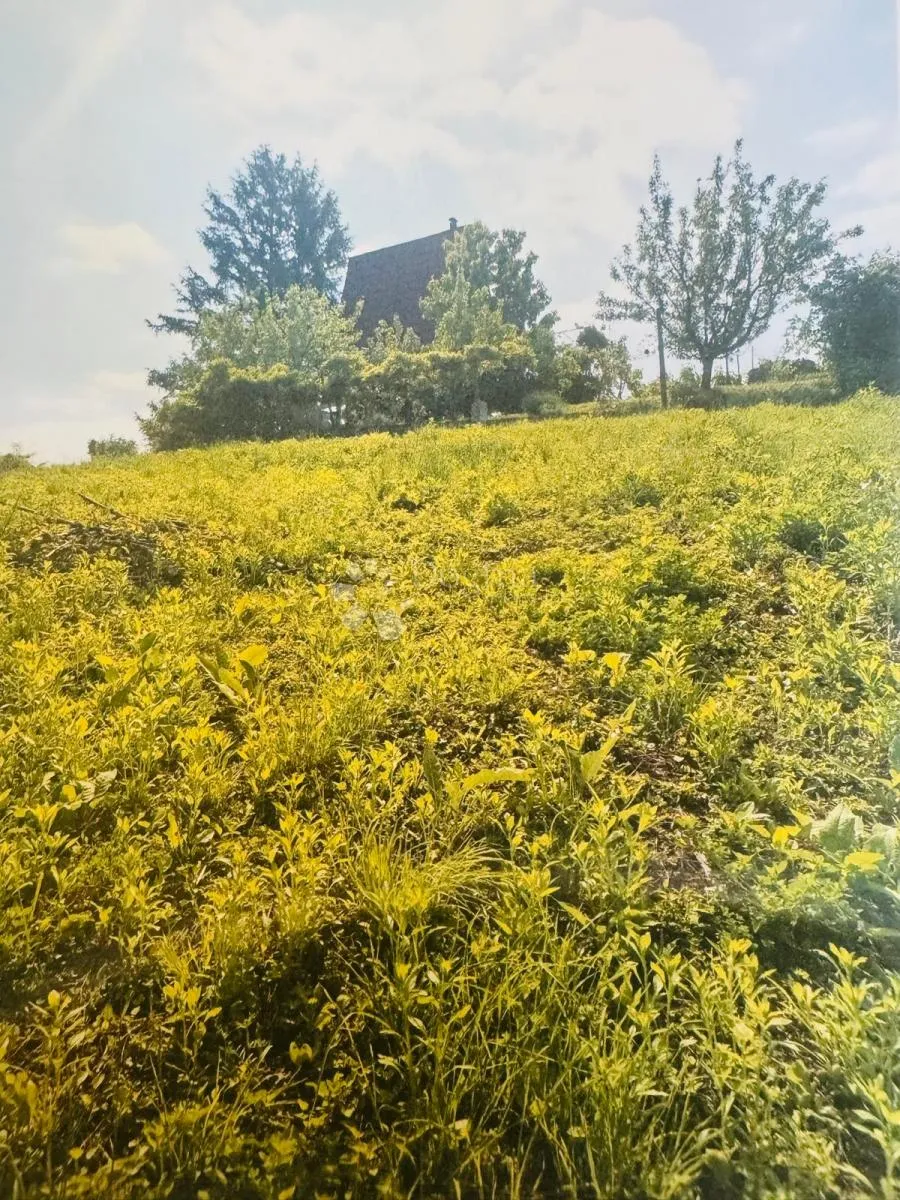 građevinsko zemljište 1297 m² u čučerju – mir, zelenilo i blizina grada - slika 3