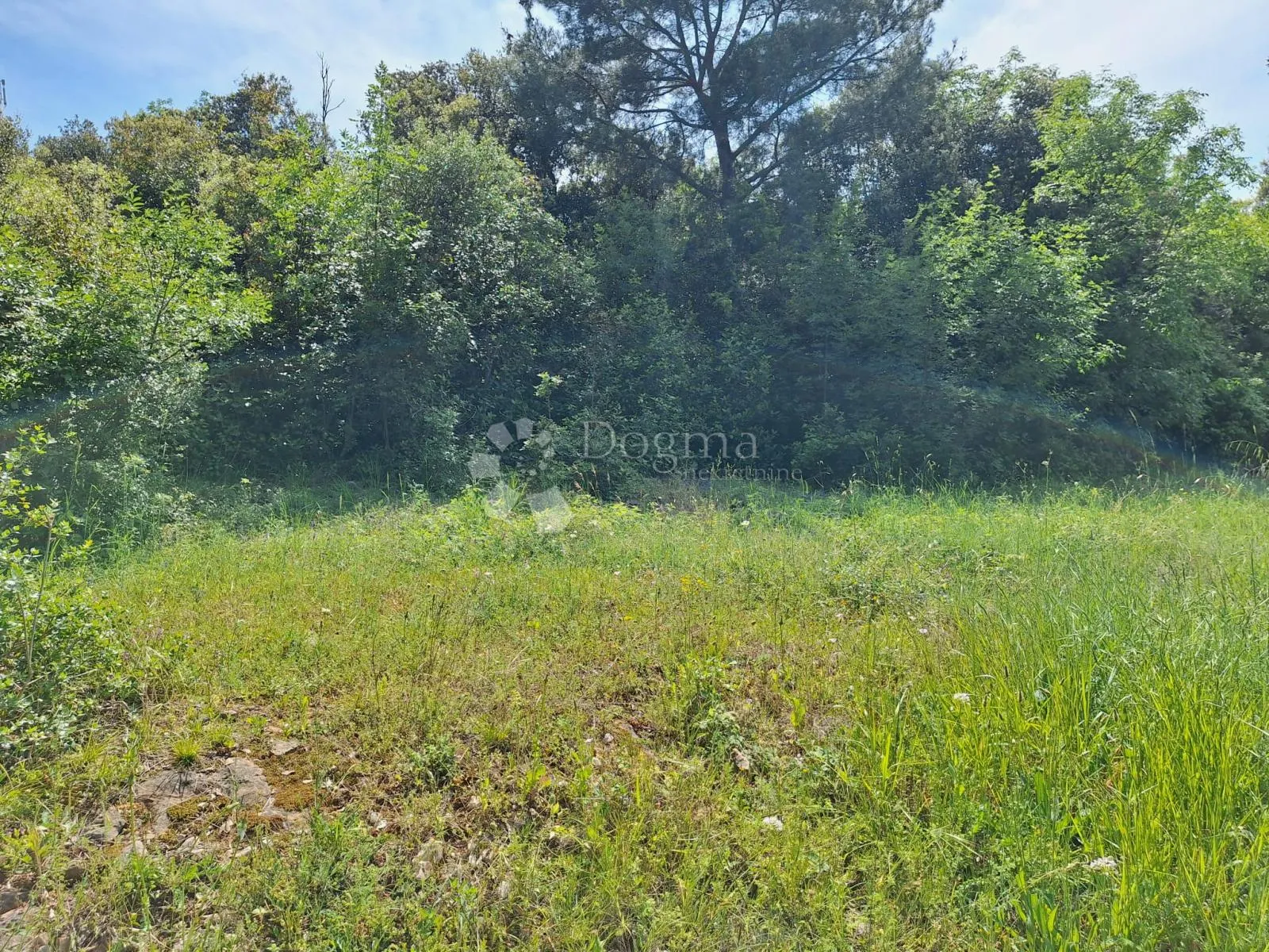 lokacija top šuma na prodaju - slika 2