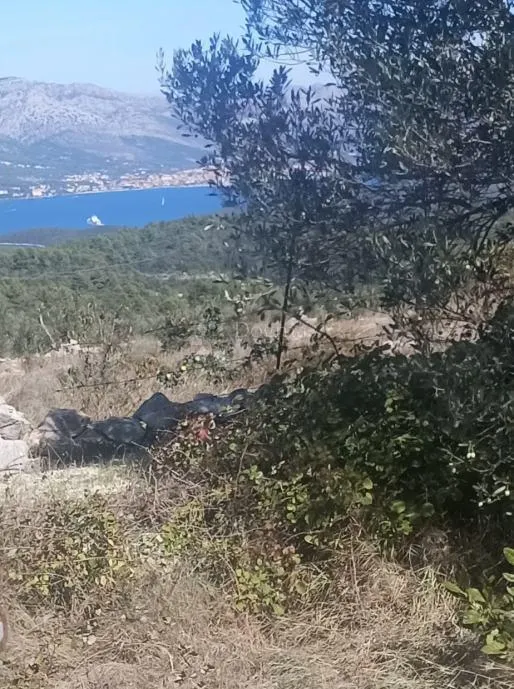 poljoprivredno zemljište u mirnom okruženju - žrnovo - slika 2