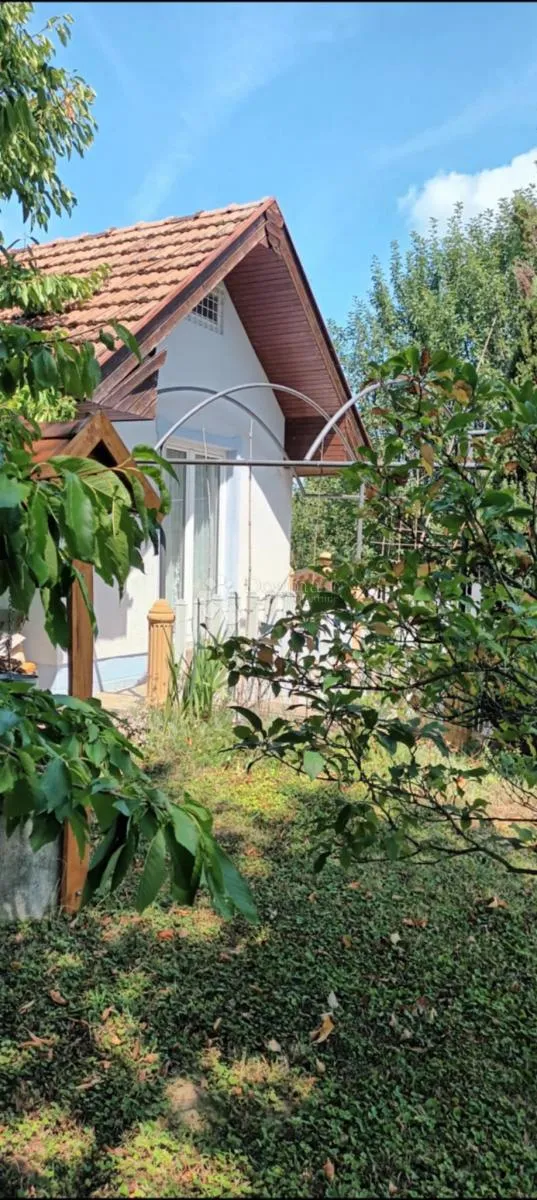 sanjiva vikendica na savršenoj lokaciji - tavanac - slika 6