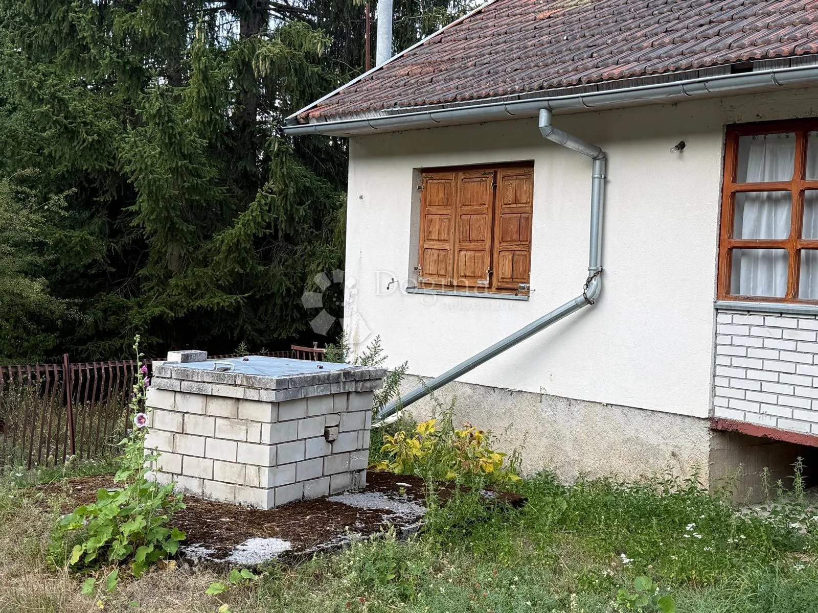 useljivo imanje na osami šuma zelenilo pogled - slika 3