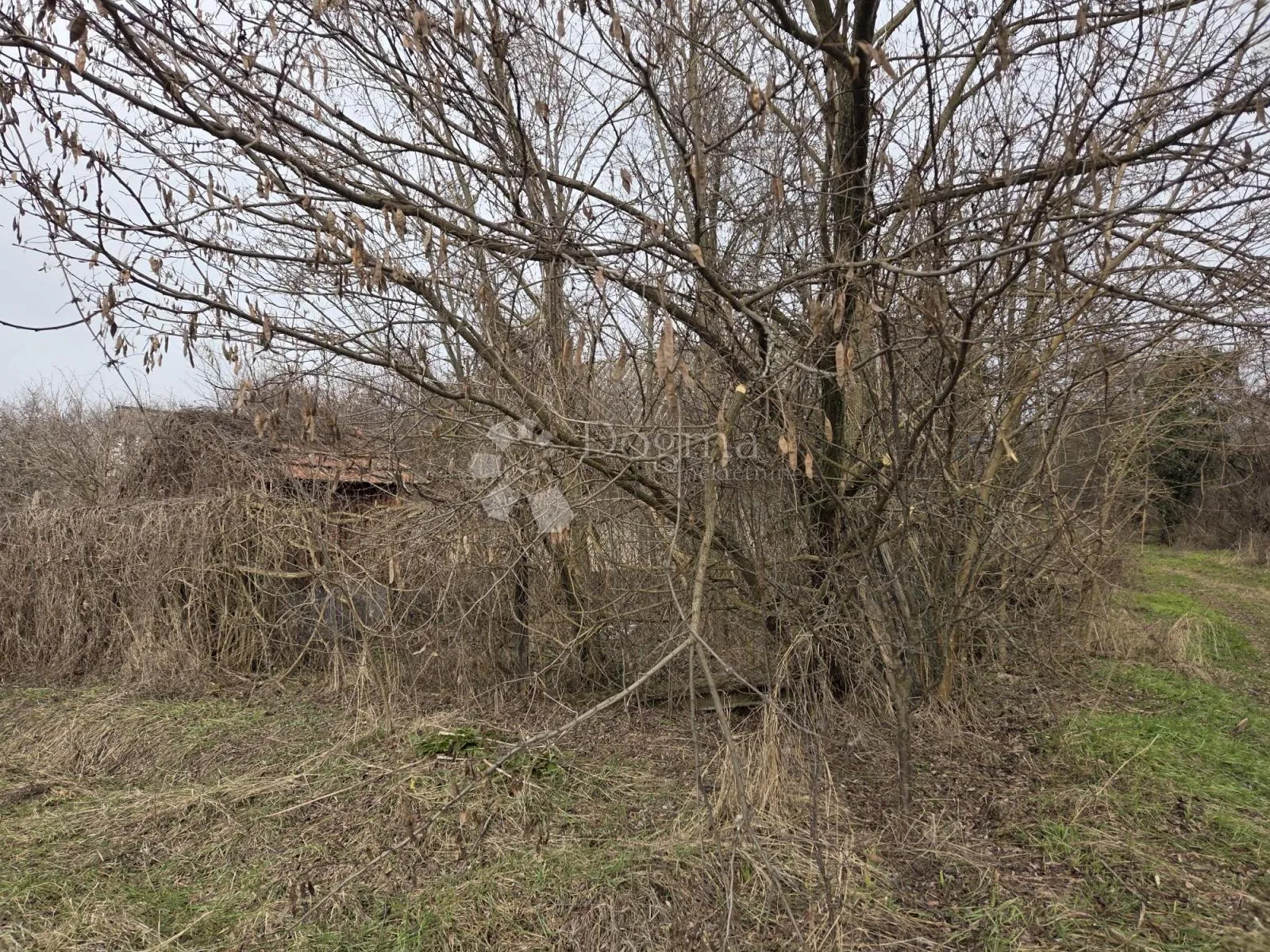 prilika, za adaptaciju, dalj planina, 50 m² - slika 5