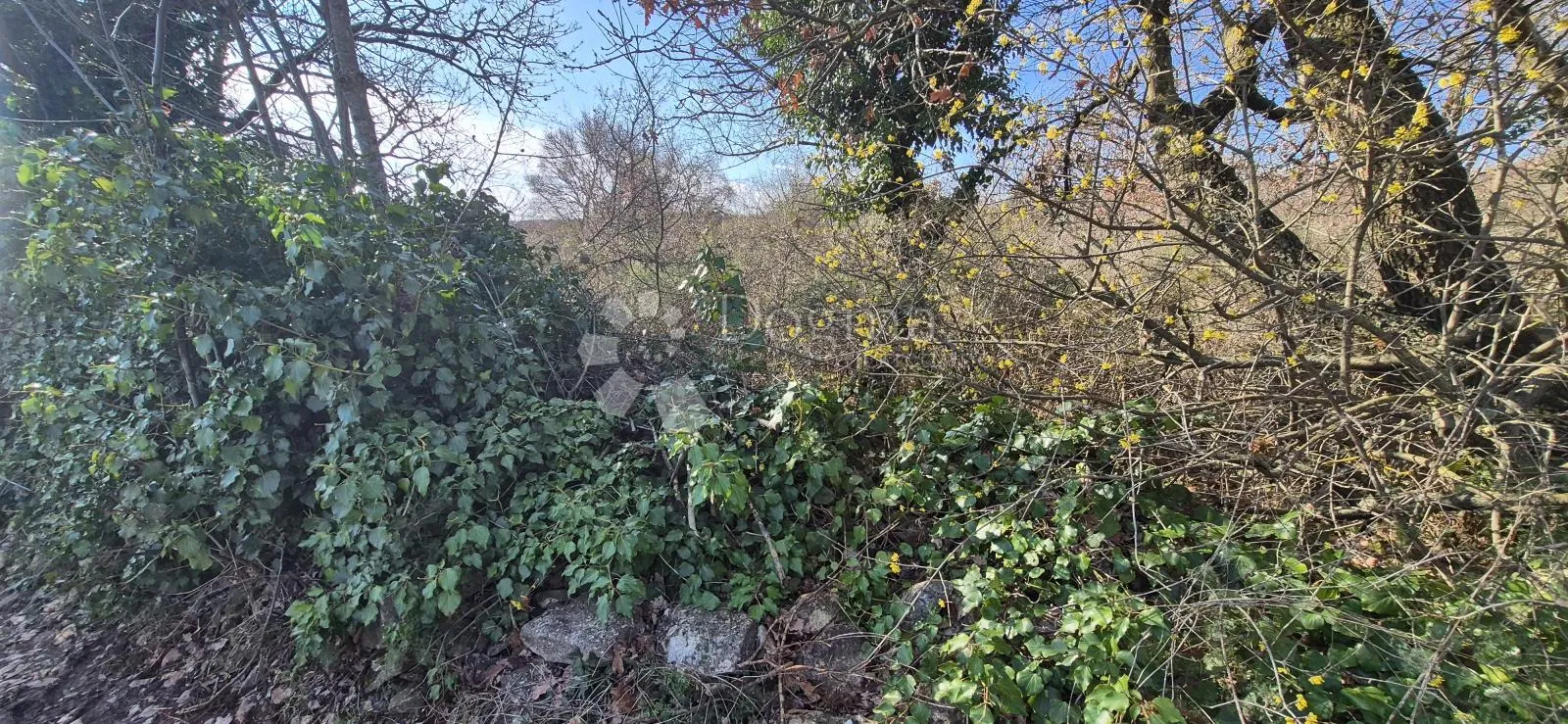 kombinirano građevinsko zemljište 850 m2 i poljoprivredno zemljište 3726 m2 - slika 5