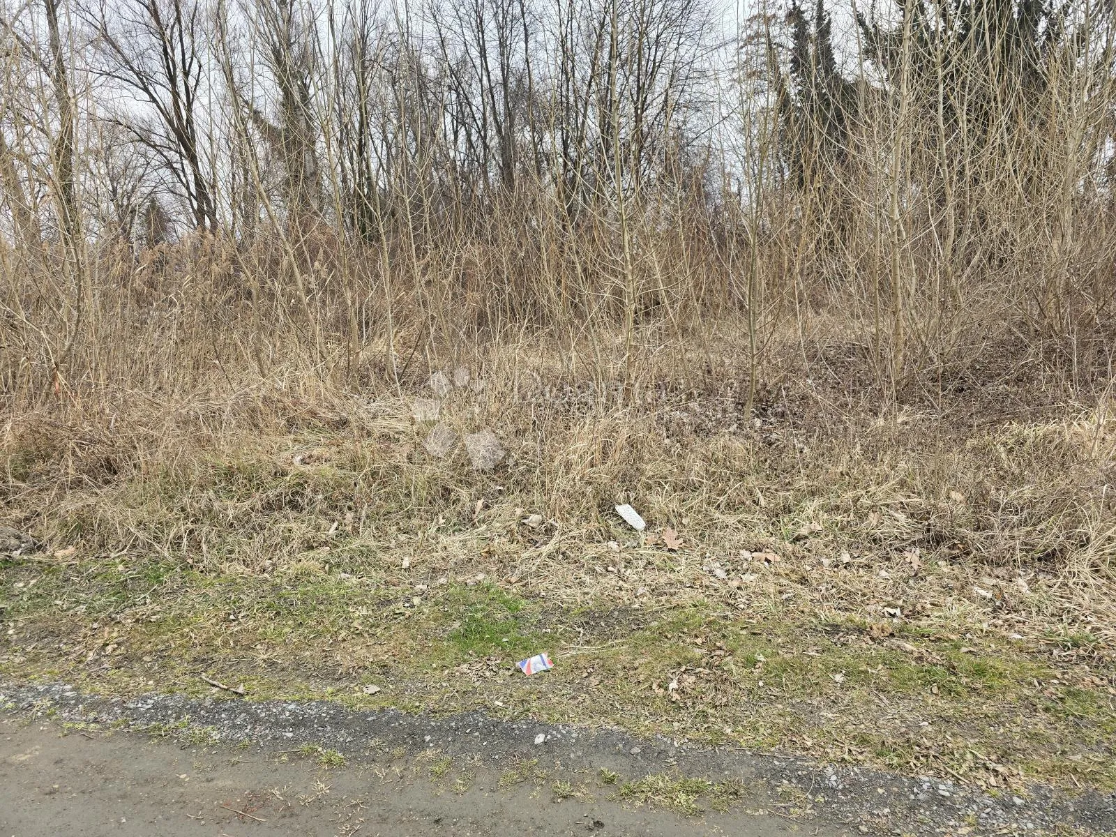 industrijsko zemljište od 4100 m2 u ulici ivana severa - slika 13