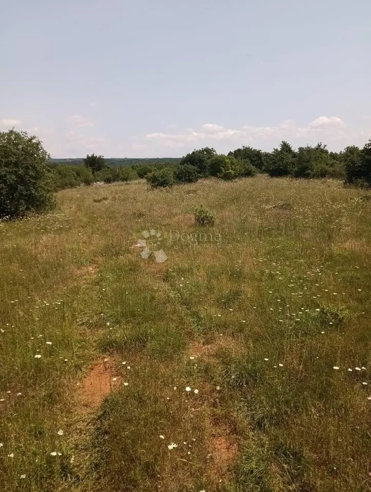 poljoprivredno zemljište 47760m2 - krmed - slika 4