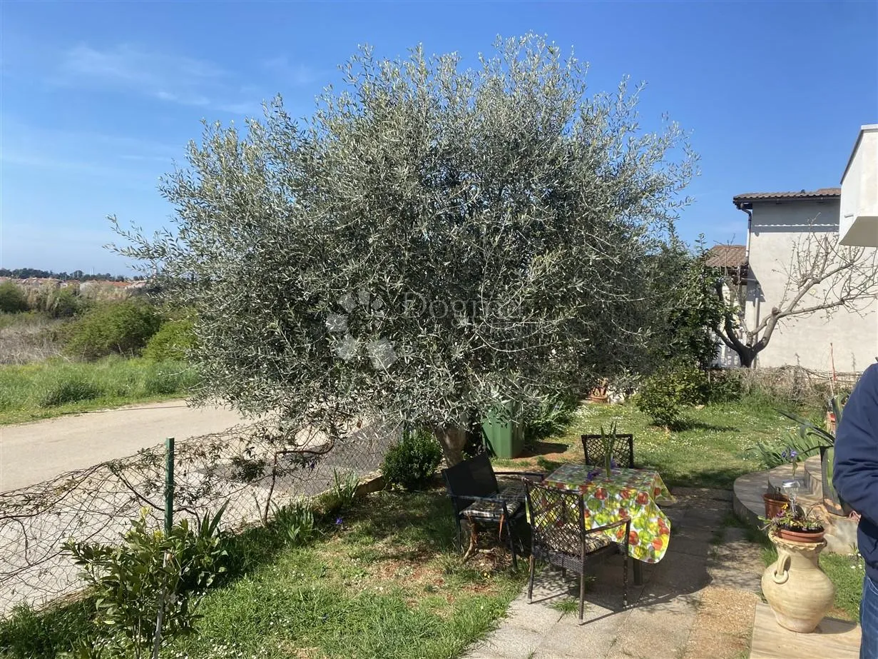 apartmanska kuća, novigrad - slika 5