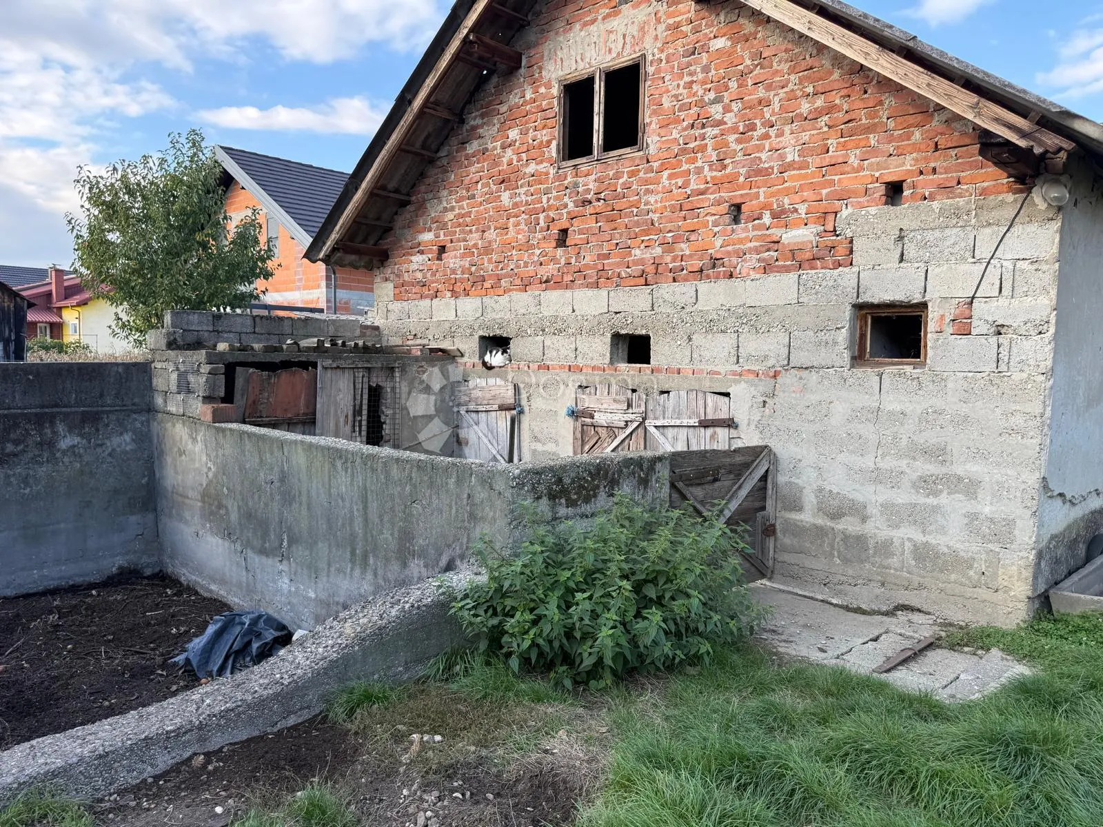 ovakve prilike nema!! - slika 21