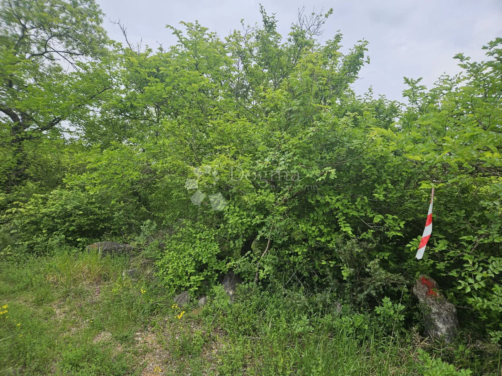 omišalj, poljoprivredno zemljište! - slika 4