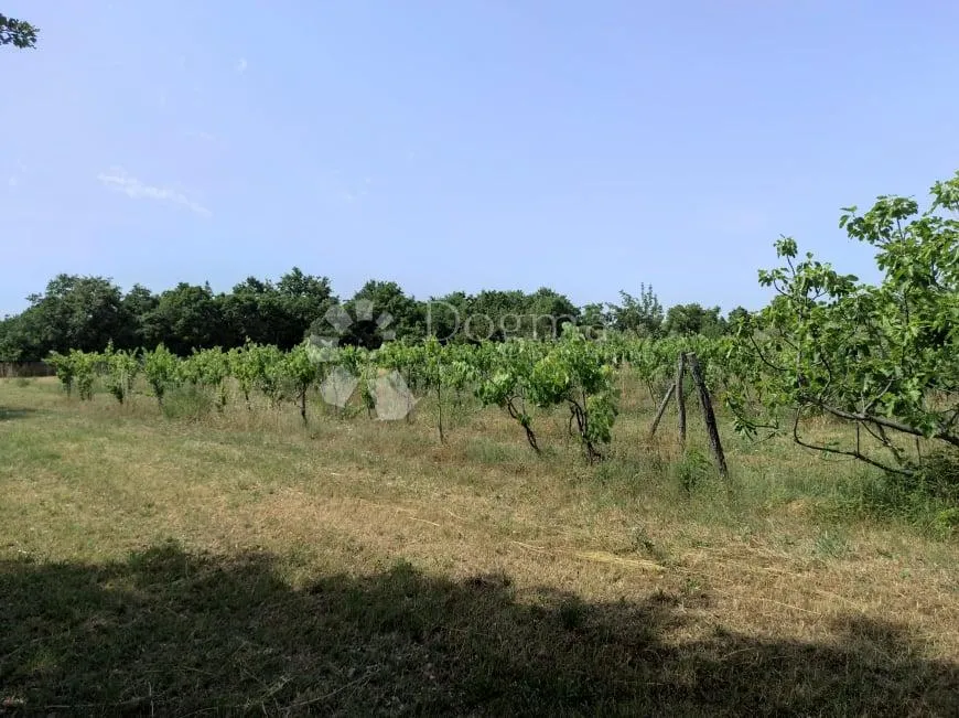 prekrasna stancija u okolici pule, s 10000 m² urbaniziranog zemljišta - slika 55