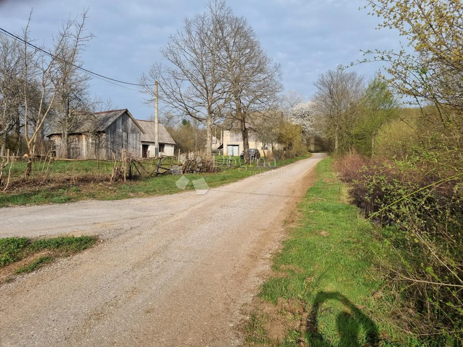 priiroda na najjače - slika 3