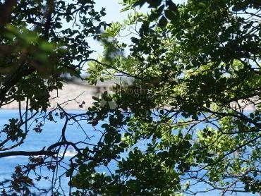 ekskluzivna lokacija uz more za hotel & luxury villas resort - slika 4