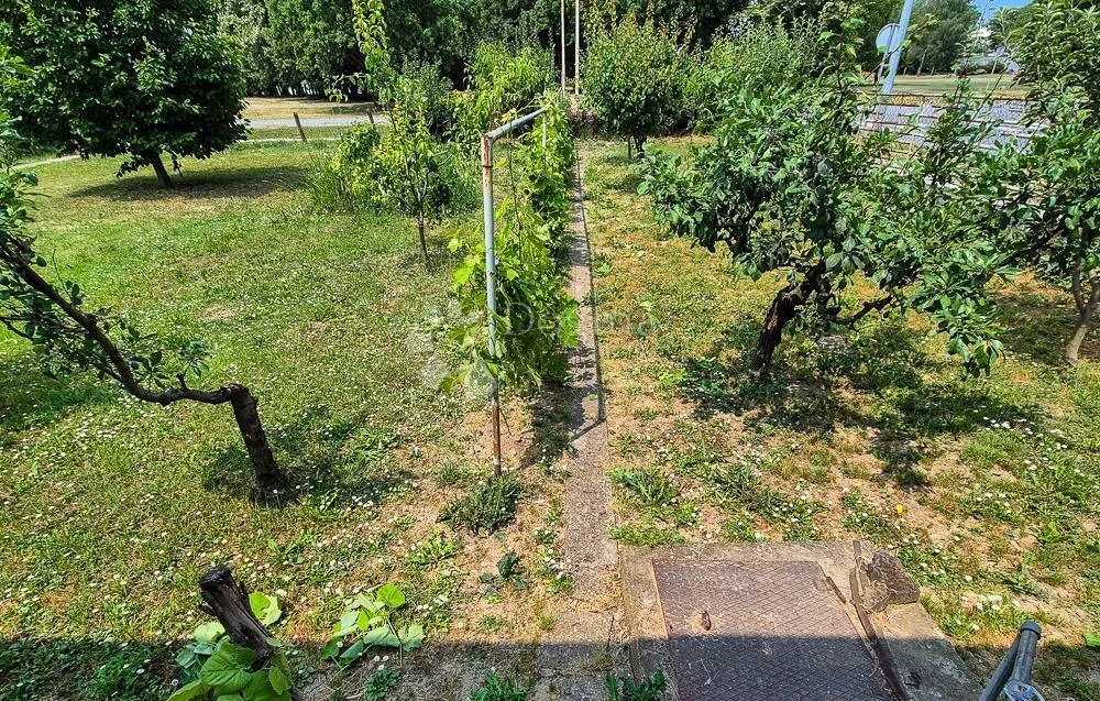 povoljna kuća s velikim dvorištem – prilika! - slika 9