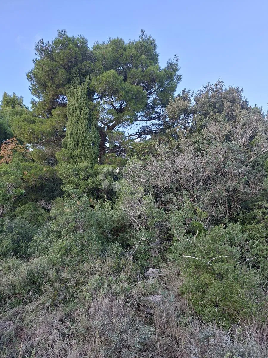 poljoprivredno zemljište u močićima sa pristupnim putem - slika 4