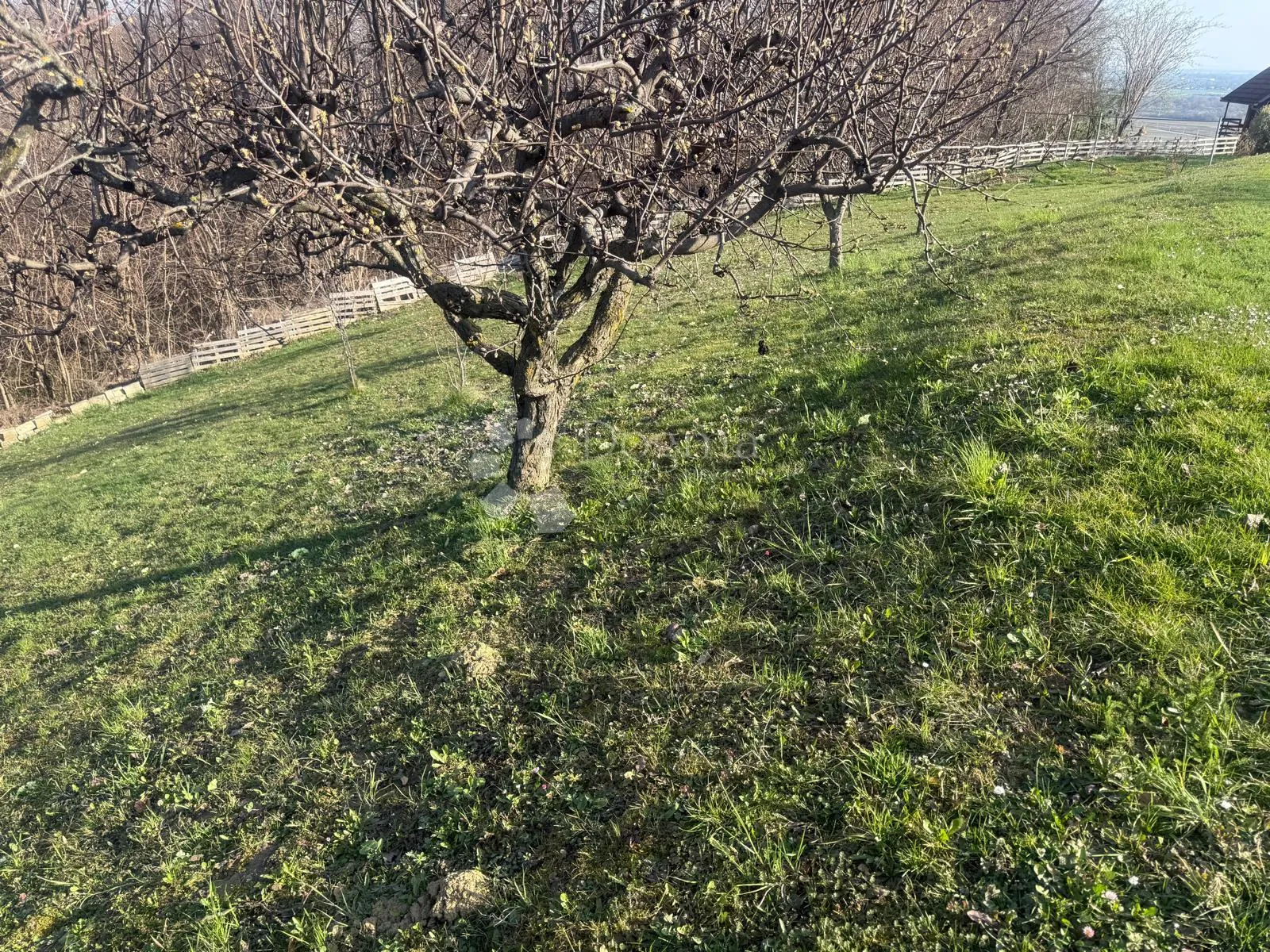 mir, priroda i 1245 m² za vaš dom - slika 4