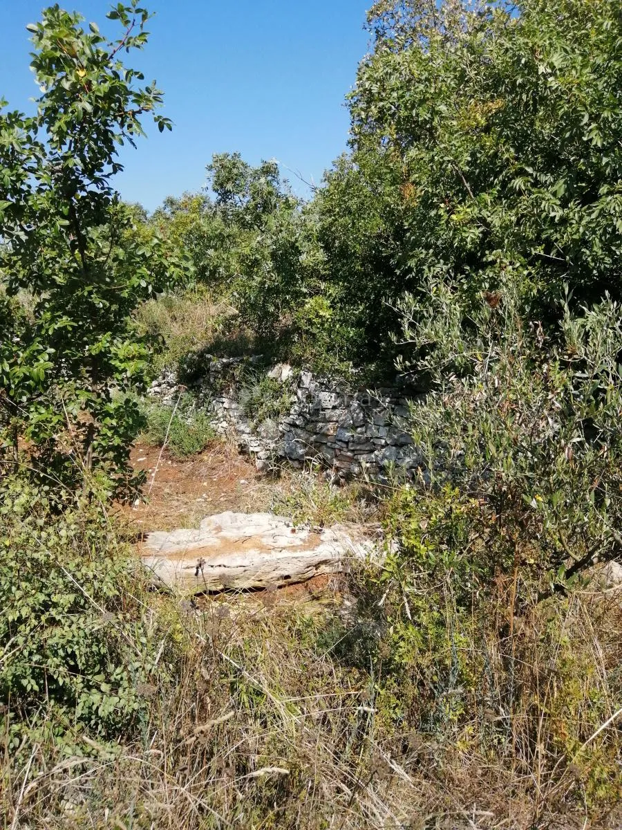 Peroj – 689 m² poljoprivredno zemljište na 1.700 m od mora - Peroj, Vodnjan