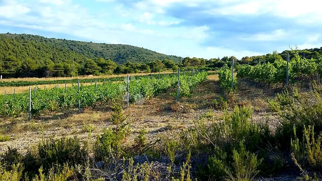 otok vis - izniman posjed s kamenom starinom za adaptaciju ! - slika 22