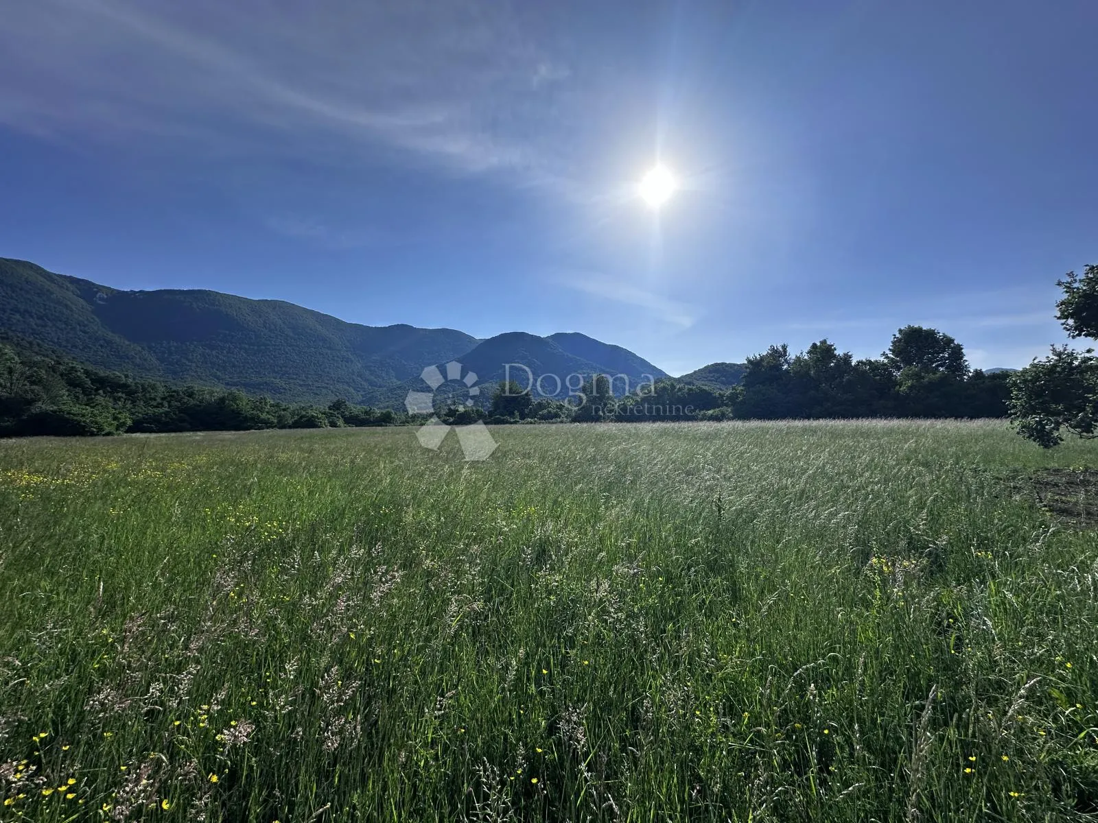brušane zemljište 7373 m2 (podnešen zahtjev za prenamijenu u građevinsko) - slika 2