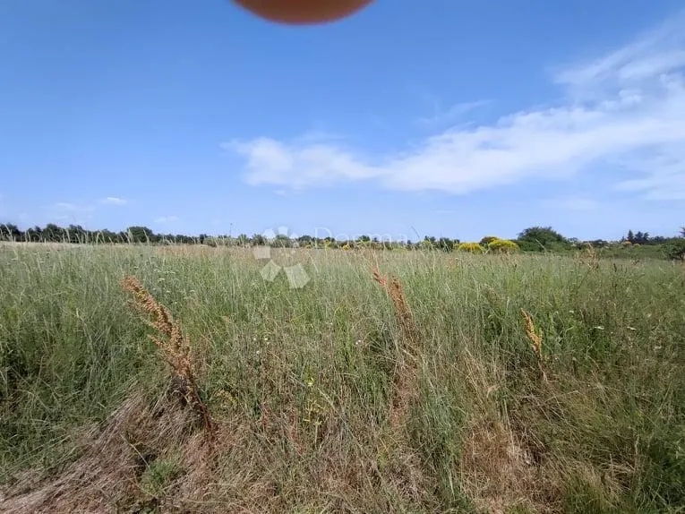 marčana, građevinsko zemljište za stambenu gradju - slika 3