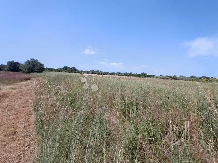 marčana, građevinsko zemljište za stambenu gradju - slika 6