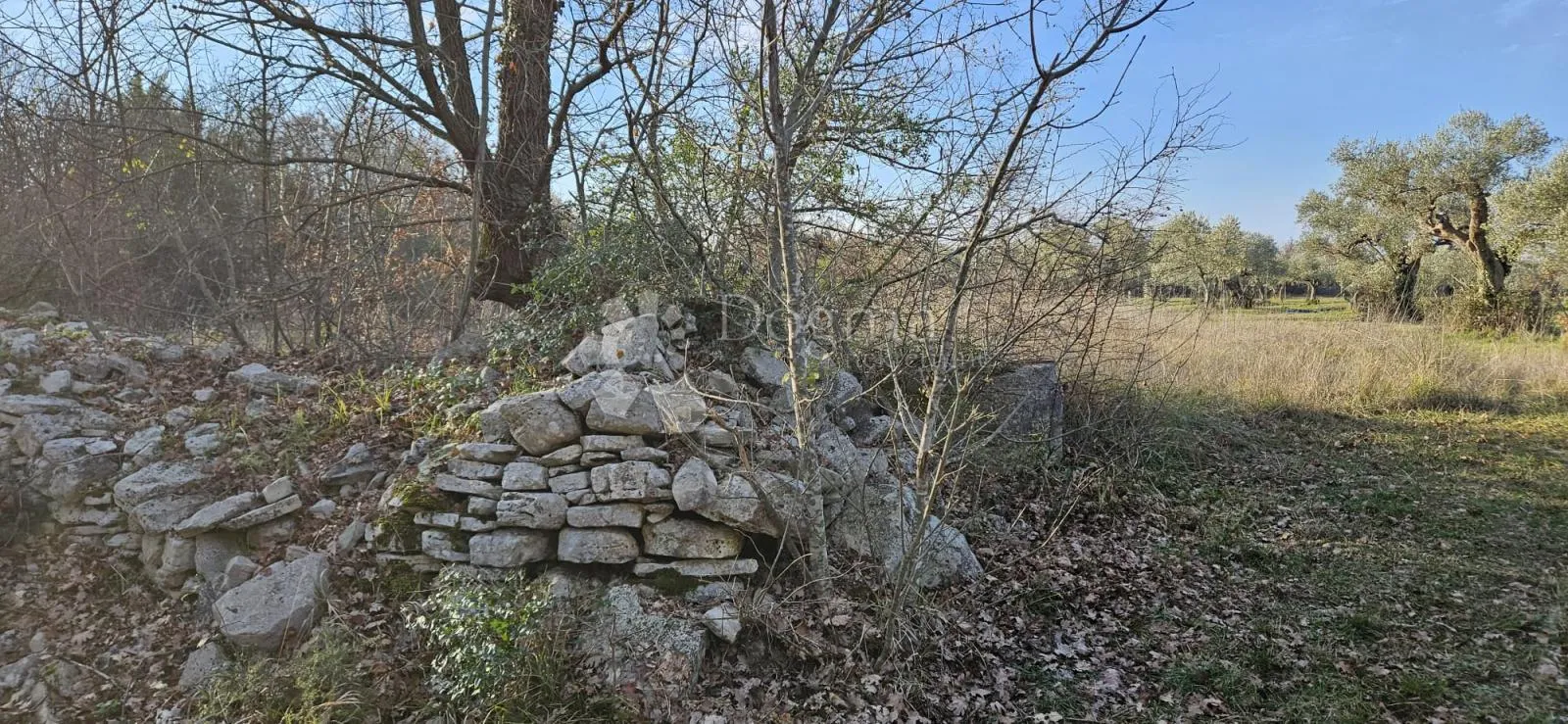 poljoprivredno zemljište na odličnoj lokaciji - 2239 m² - slika 5
