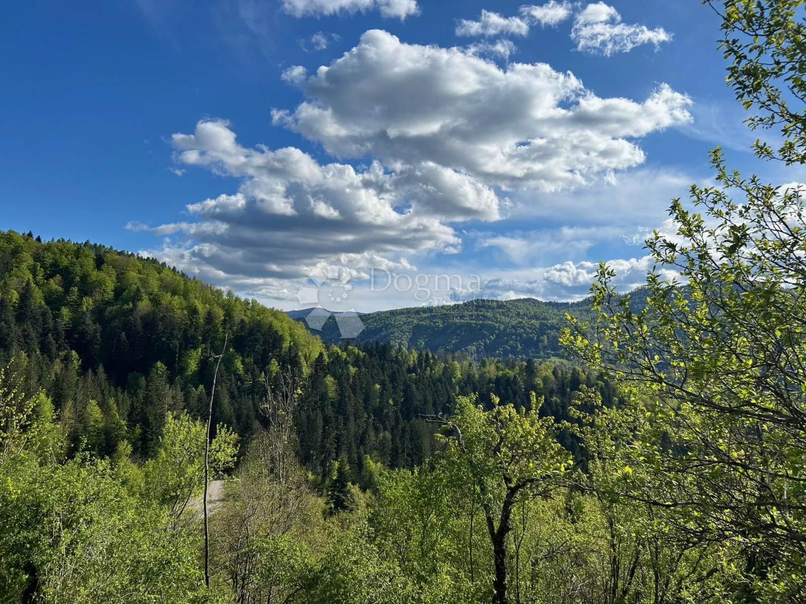 imanje iznad vrbovskog - slika 11