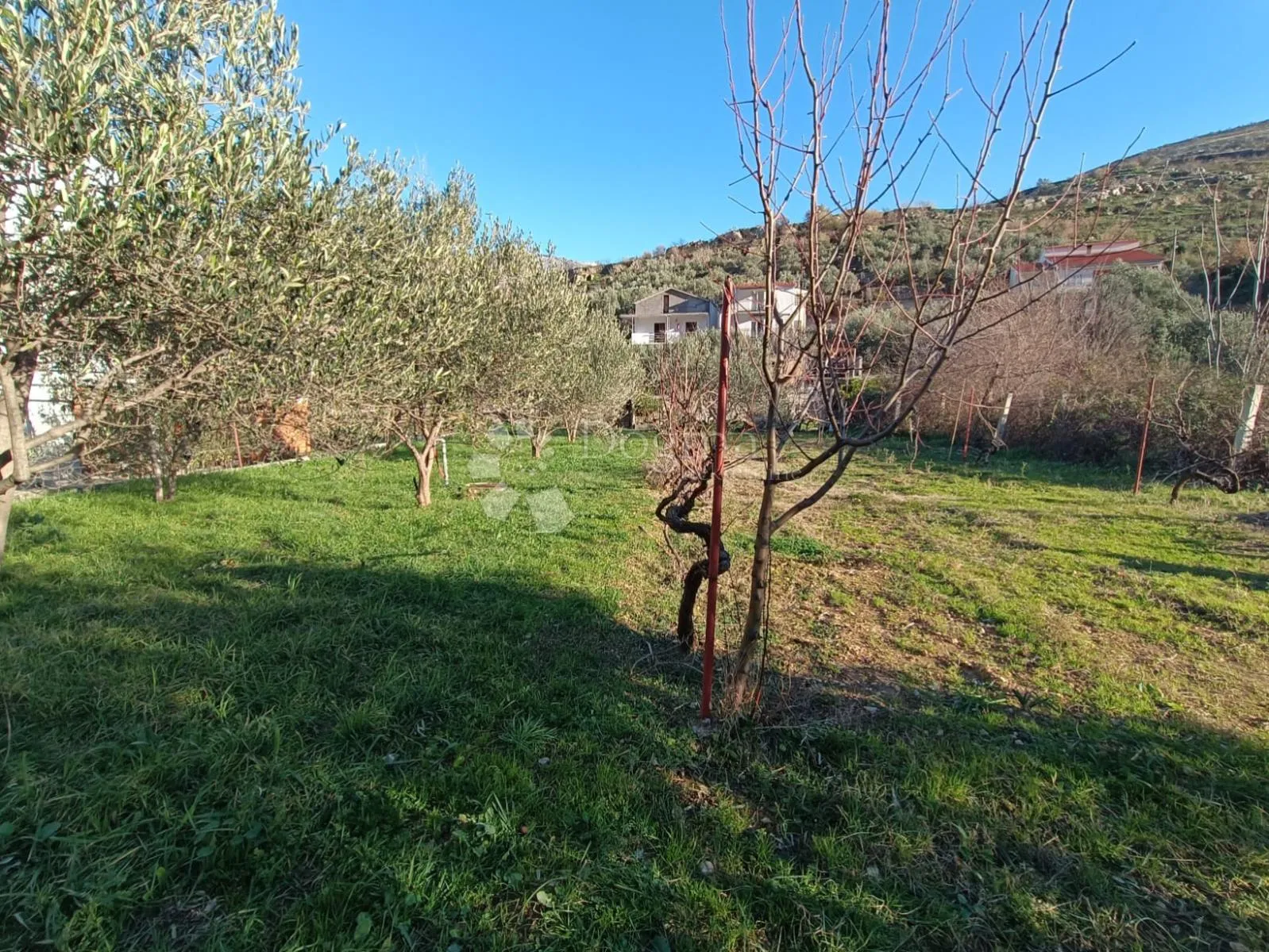 prilika! poljoprivredno zemljište srinjine, split - slika 5