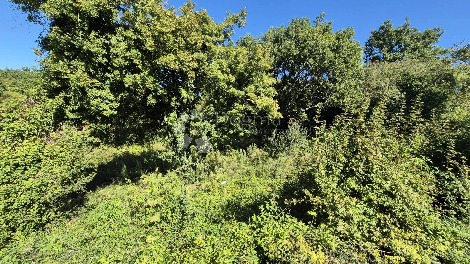 prodaje se poljoprivredno zemljište površine 1636 m2 u cukrićima - slika 5