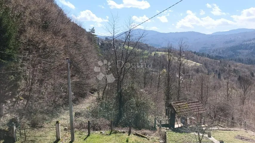pogled na kupu - slika 6