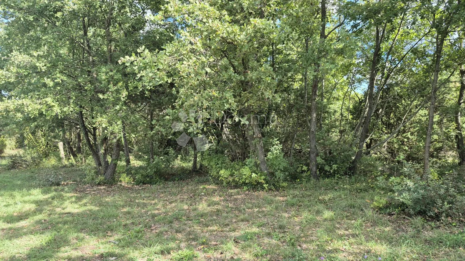 poljoprivredno zemljište sa kažunom površine 3550 m2 - slika 15