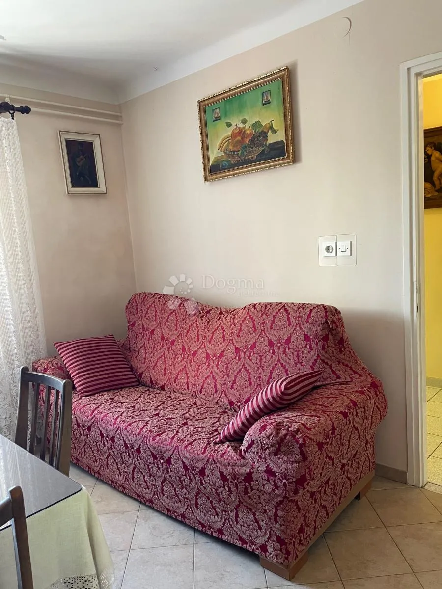 komadić raja koji traži pažnju - slika 49