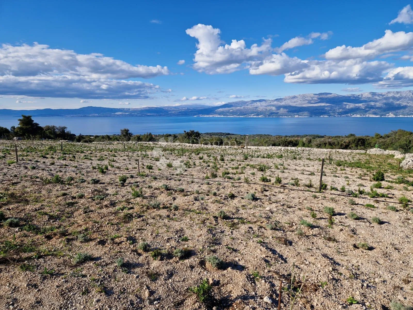 donji humac, zemljište za izgradnju opg-a, 12555 m2, pogled - slika 12