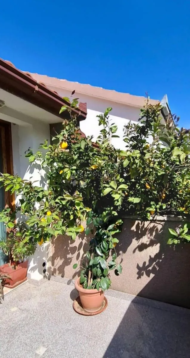 apartmanska kuća, 70m od mora, trogir - slika 8