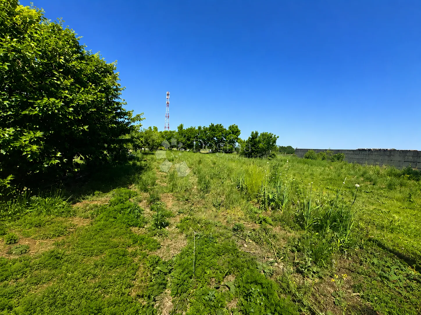 oranica 2.315 m² – satnica đakovačka - slika 2