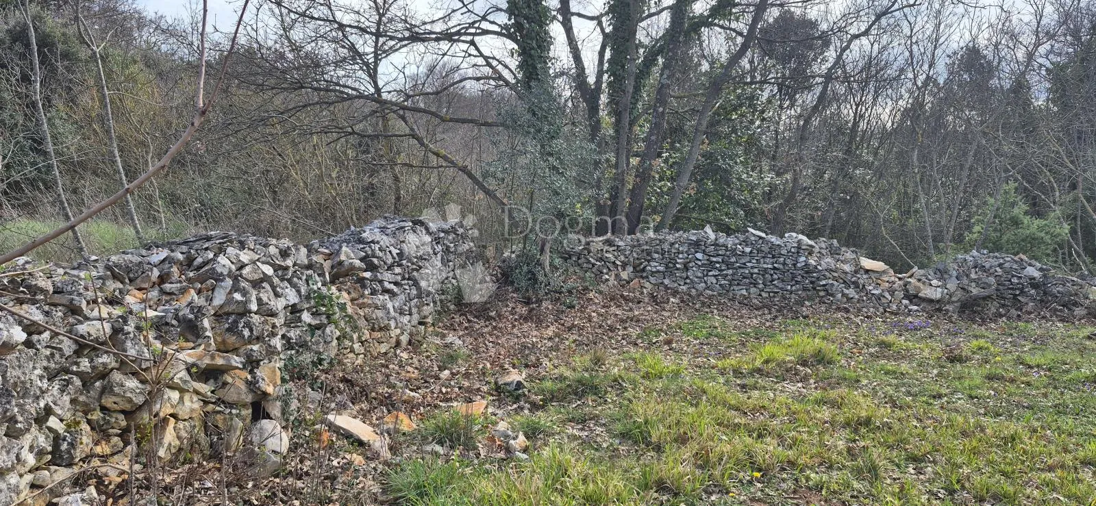 građevinsko zemljište na samo 1,5 km od mora sa 6 stoljetnih maslinama - slika 5