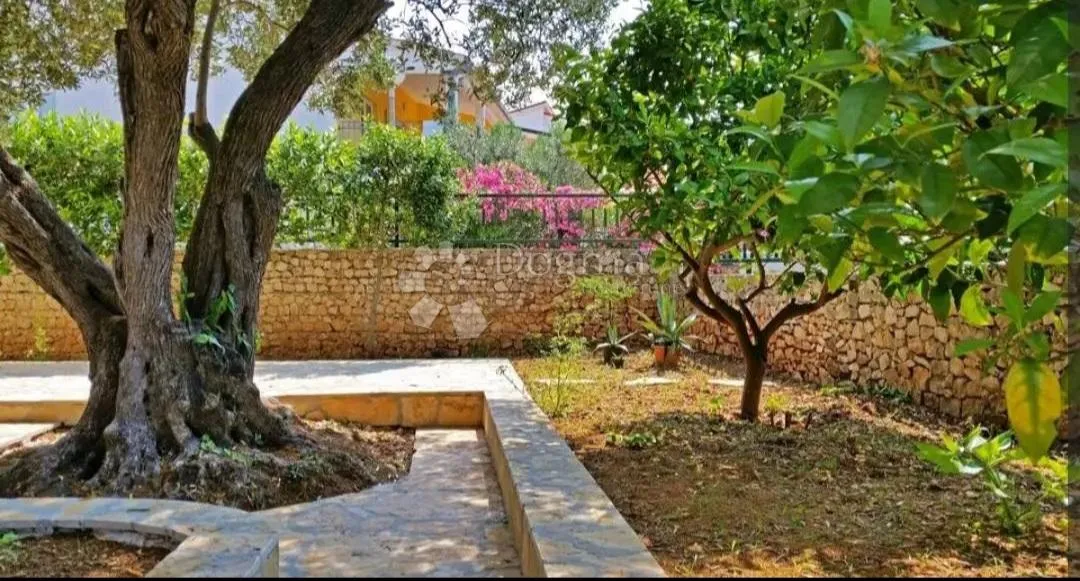 kuća sa 4 apartmana 100 metara od mora - slika 9