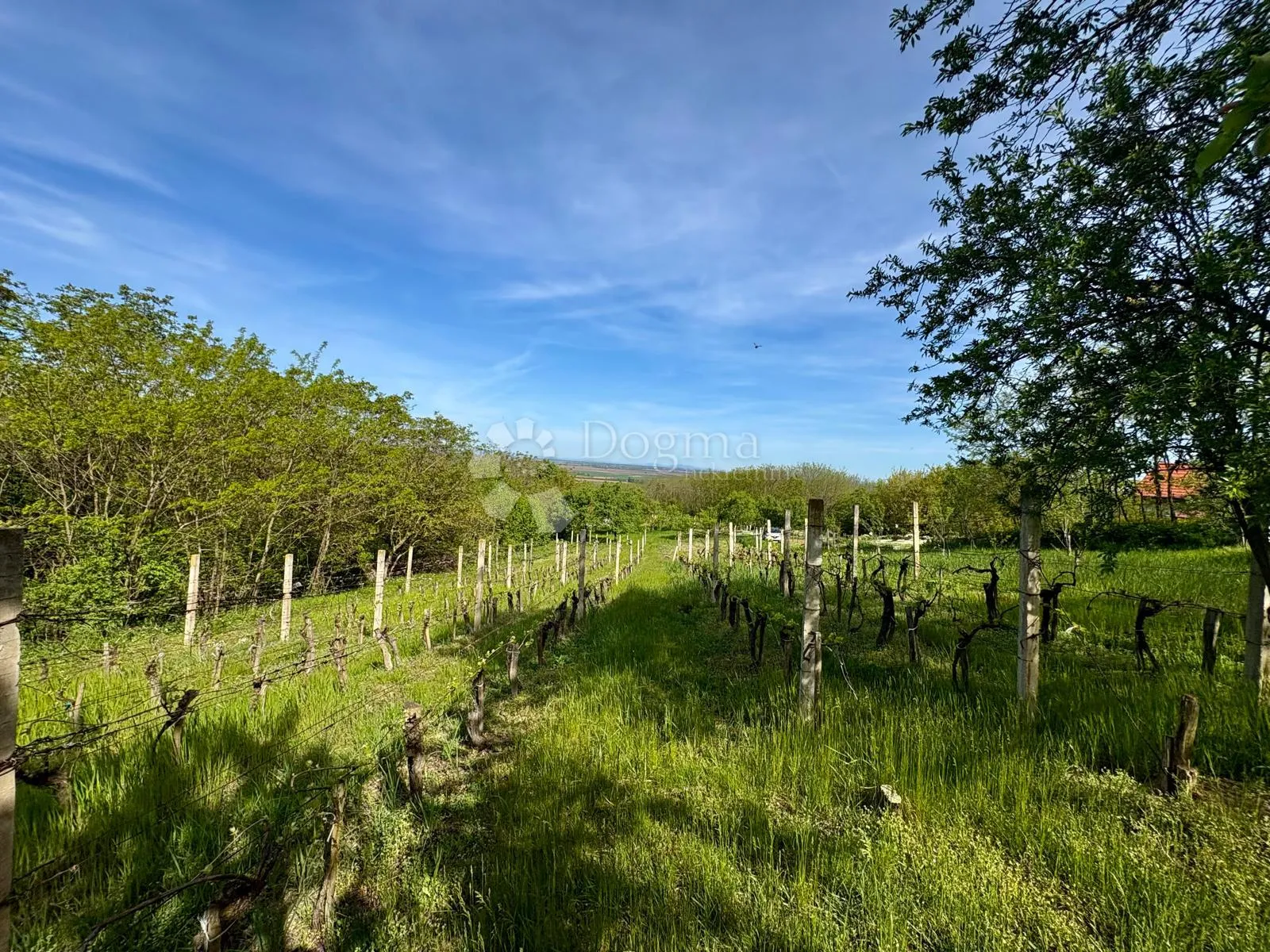 oaza mira i privatnosti – vikendica s vinogradom i 3.797 m² okućnice - slika 37
