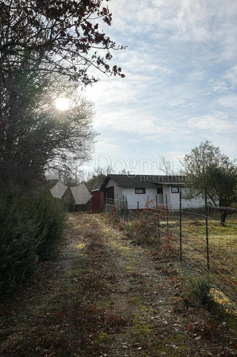 otok krk prekrasno imanje maslinik sa kućom - slika 15