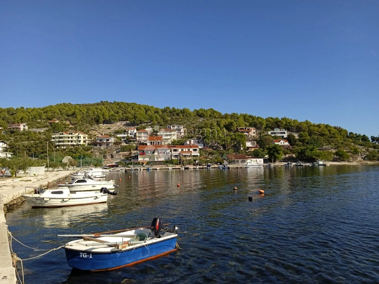akcija! predivni maslinik s 80 maslina, marina - slika 40