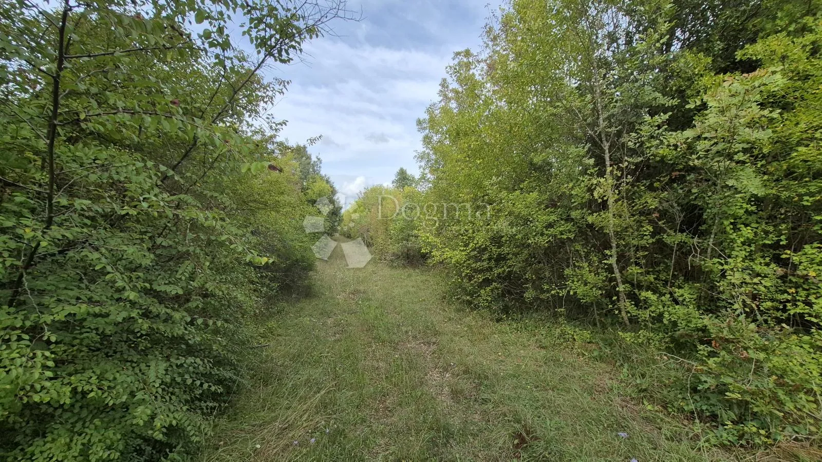 poljoprivredno zemljište 11.980 m2, 600 m od mora - slika 8