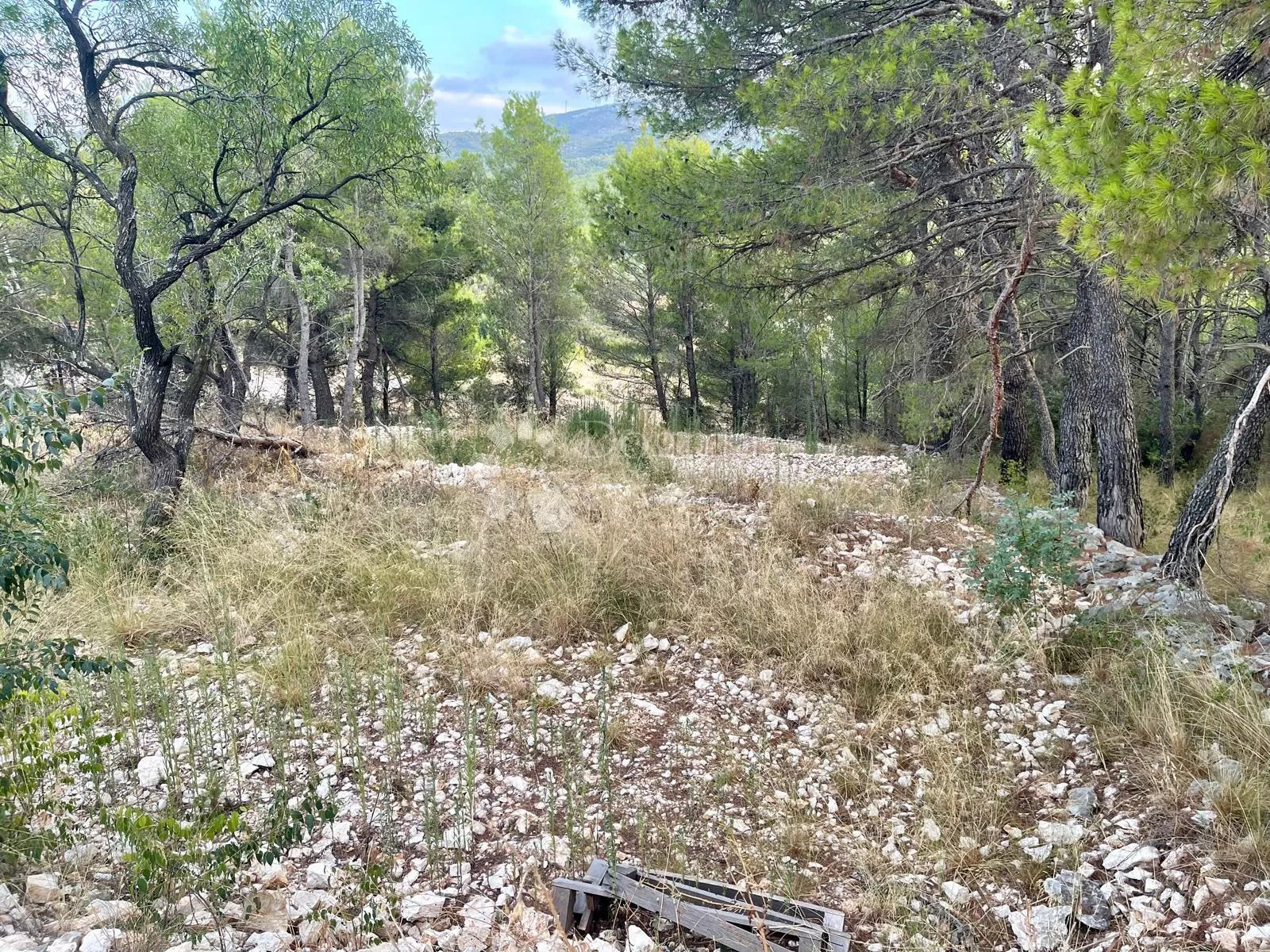 kamena kuća s potencijalom za vilu - slika 10