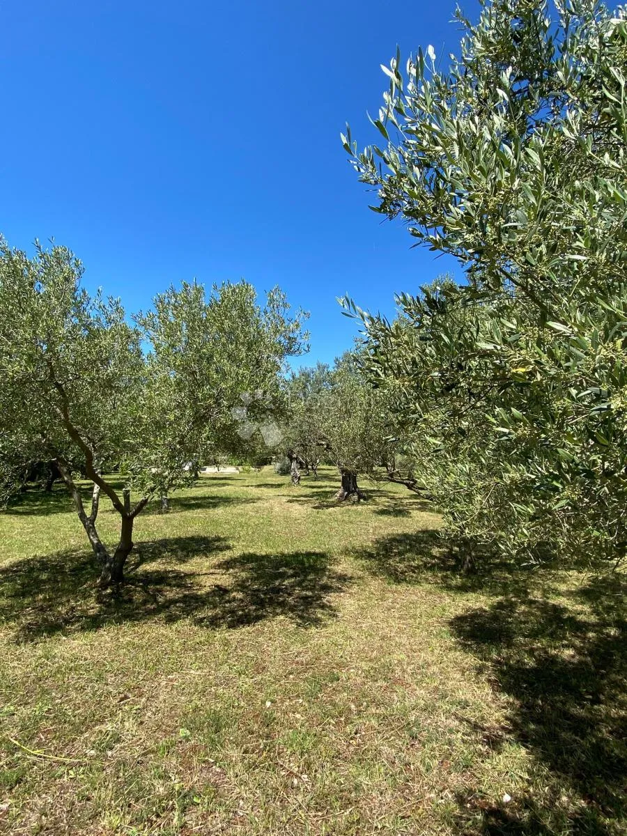 vaš privatni dašak mediterana nadomak centra peroja i plaže - slika 4