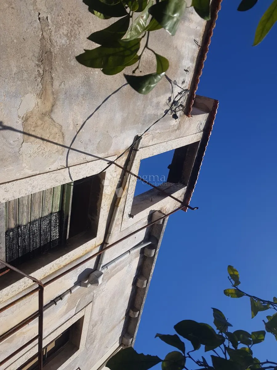 starina na korčuli - slika 5
