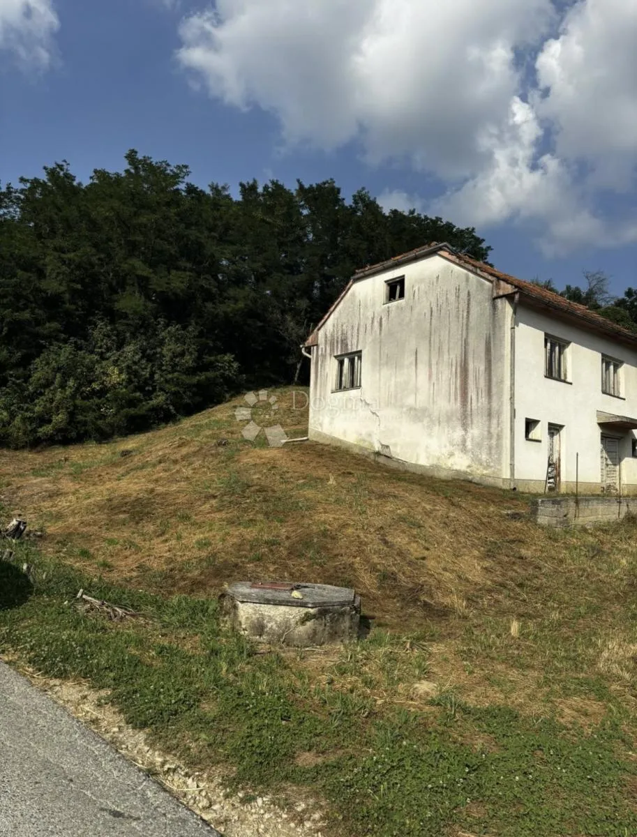 kuća za adaptaciju+ogromno imanje - 3831m² - slika 4