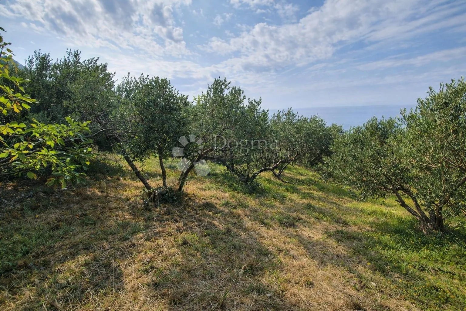 građ.zemljište sv.filip i jakov - 3000m2 - slika 2