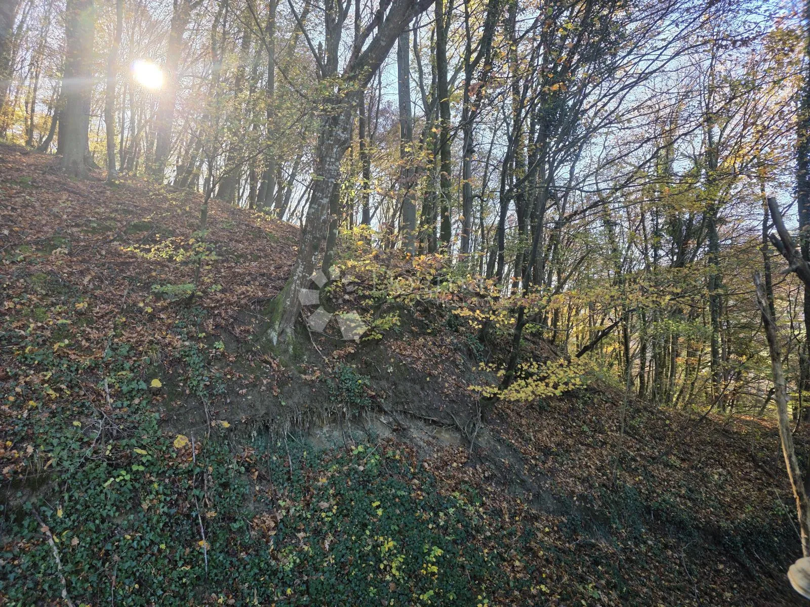 šuma i pašnjak 7.182m² u selnu kod krapinskih toplica - slika 4